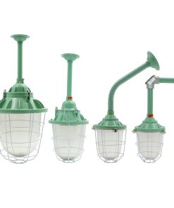 Đèn Chống Nổ Đui E27 20w 100w (TDL-ECN100) Thành Đạt Led