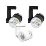 Đèn Rọi Ray Rọi Cao Cấp 20W (TDL-DR20) Thành Đạt Led