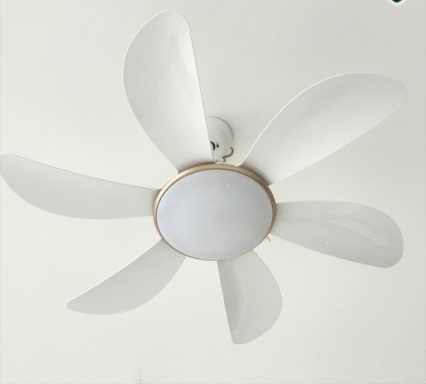 Quạt trần đèn trang trí 219 Nhựa ABS cao cấp 6 Cánh